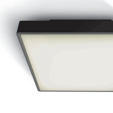 ONE Light E27 Plafo Outdoor Square - buiten plafondverlichting - 29,5 x 29,5 x 10,5 cm - IP65 - zwart