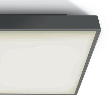 ONE Light E27 Plafo Outdoor Square - buiten plafondverlichting - 29,5 x 29,5 x 10,5 cm - IP65 - antraciet