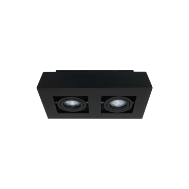 Artdelight Bosco - opbouwspot 2L - 25 x 14 x 8,6 cm - zwart